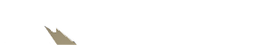 AP Capital Partners AG Logo